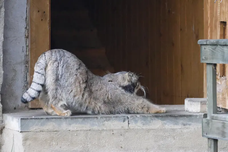 A photograph of Timofey in Moscow zoo