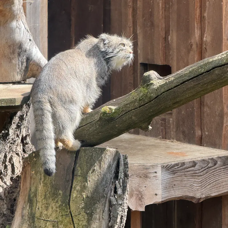 A photograph of Mars in Tallinn Zoo