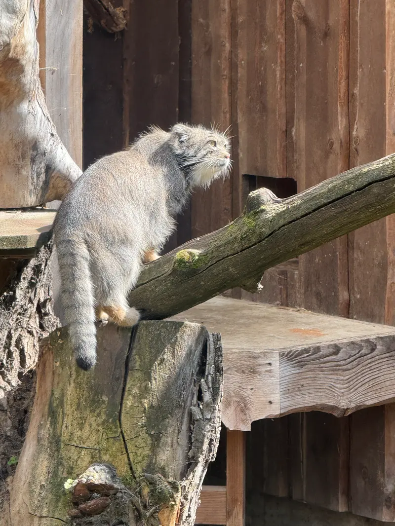 A photograph of Mars in Tallinn Zoo
