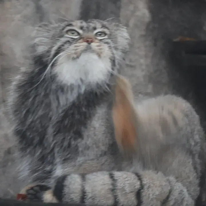 A photograph of Timofey in Moscow zoo