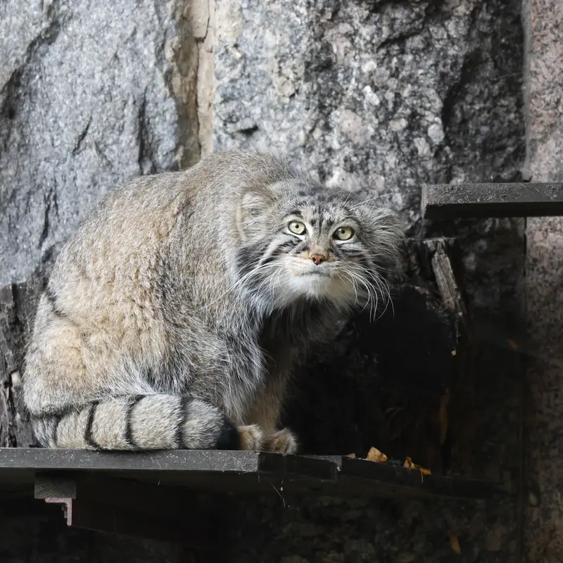 A photograph of Timofey in Moscow zoo