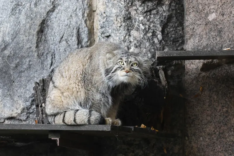 A photograph of Timofey in Moscow zoo