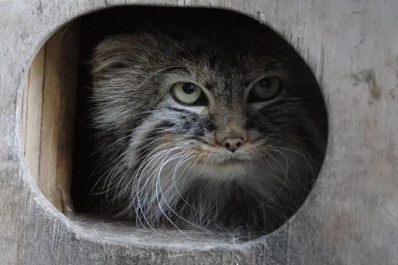 A photograph of Gabi in Novosibirsk Zoo