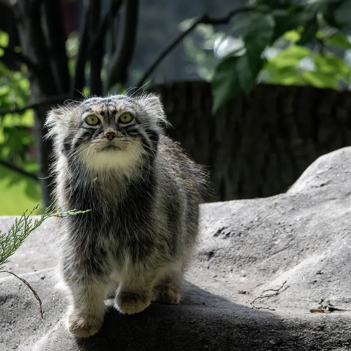 A photograph of Timofey in Moscow zoo