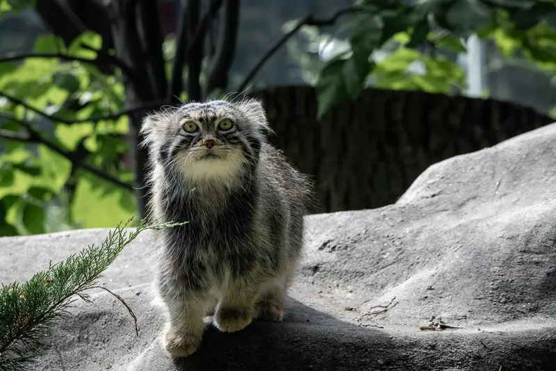 A photograph of Timofey in Moscow zoo