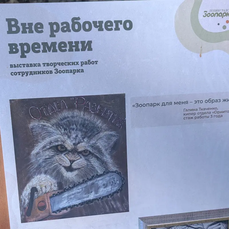 A photograph of a Pallas's cat in Leningrad zoo