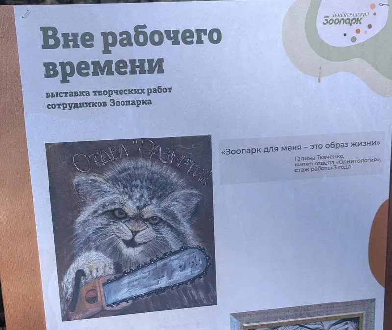 A photograph of a Pallas's cat in Leningrad zoo