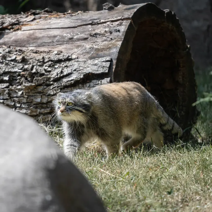 A photograph of Timofey in Moscow zoo