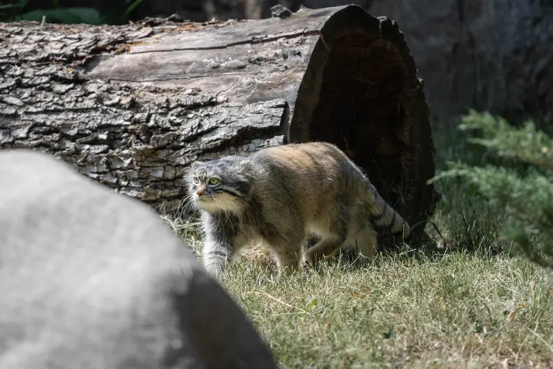 A photograph of Timofey in Moscow zoo