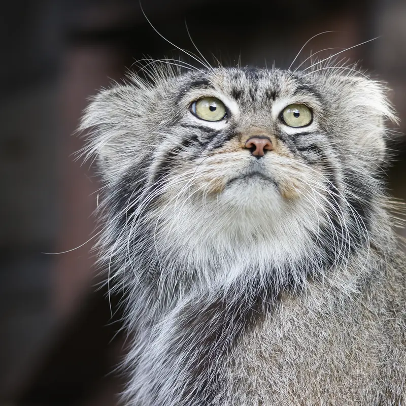 A photograph of Timofey in Moscow zoo