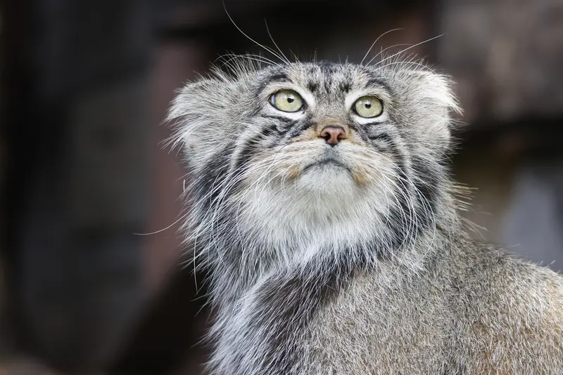 A photograph of Timofey in Moscow zoo