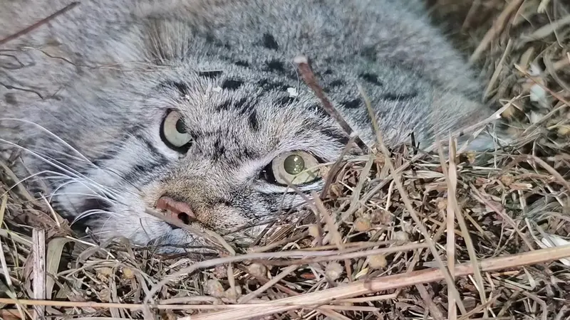 News from the Barnaul Zoo