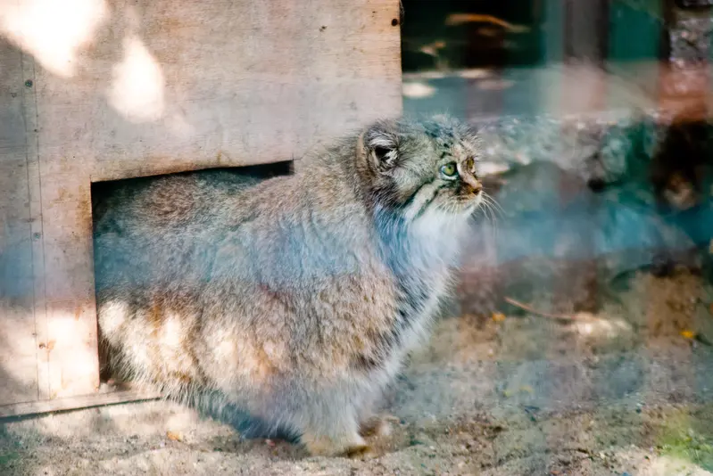 A photograph of Manuela in Magdeburg Zoo