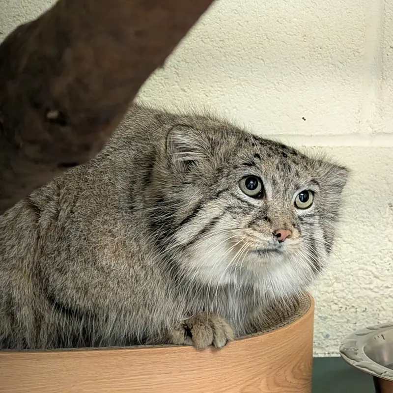 A photograph of Dean in Oglebay Good Zoo
