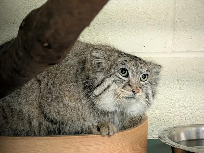 A photograph of Dean in Oglebay Good Zoo