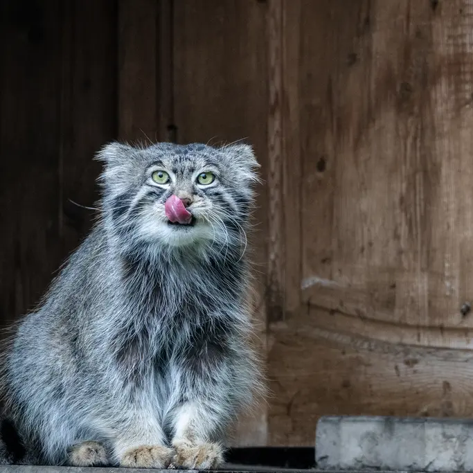 A photograph of Timofey in Moscow zoo