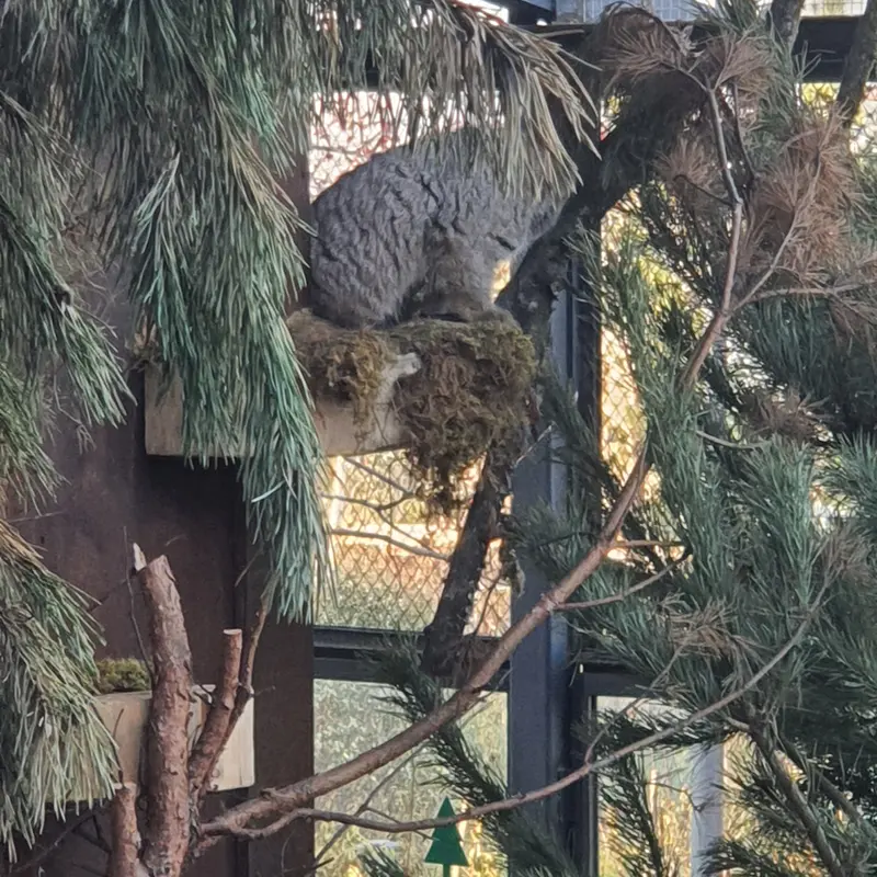 A photograph of Boris in Royev Ruchey