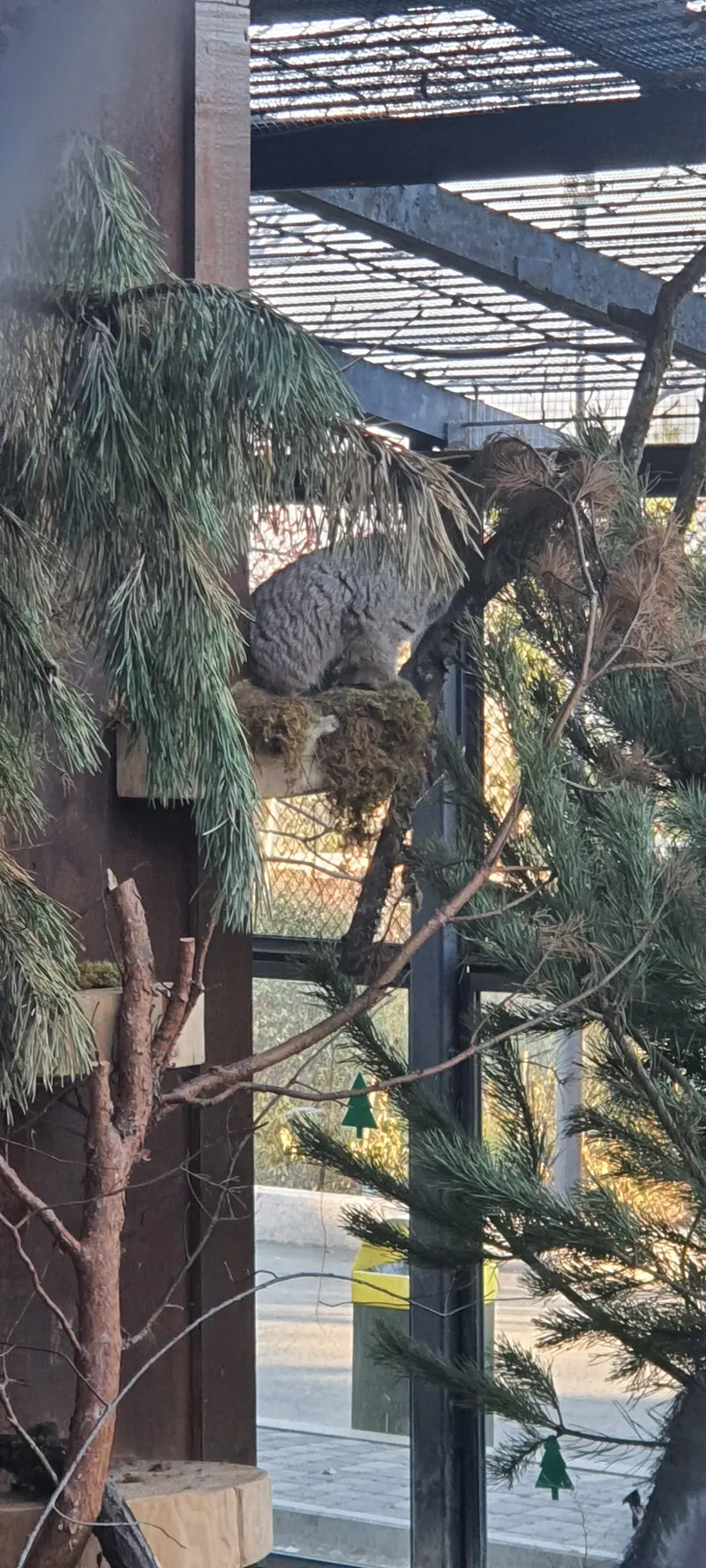 A photograph of Boris in Royev Ruchey