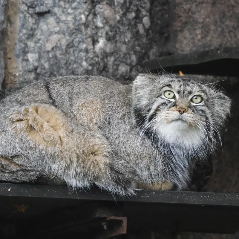 A photograph of Timofey in Moscow zoo