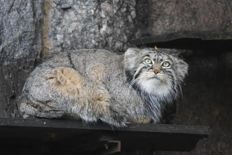 A photograph of Timofey in Moscow zoo