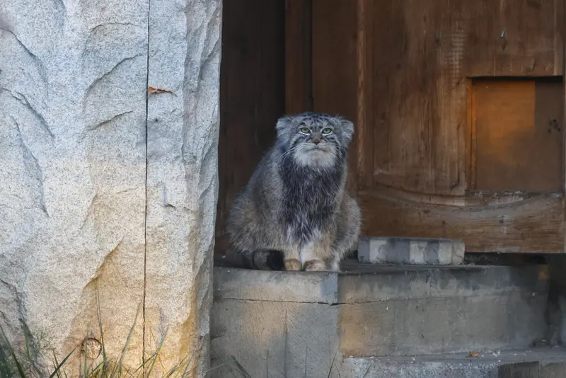A photograph of Timofey in Moscow zoo