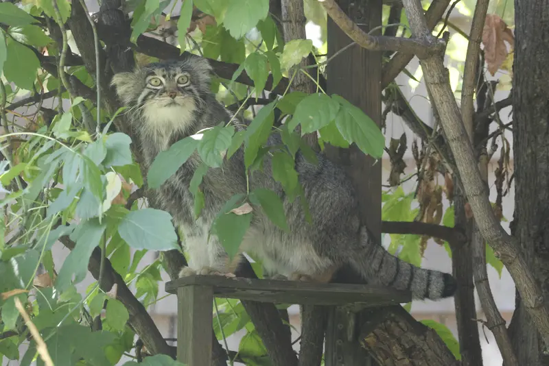 A photograph of Timofey in Moscow zoo