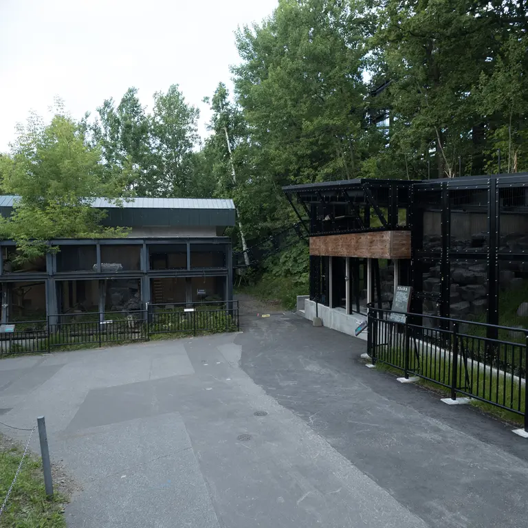 A photograph of Grusha and Hide in Asahiyama Zoo