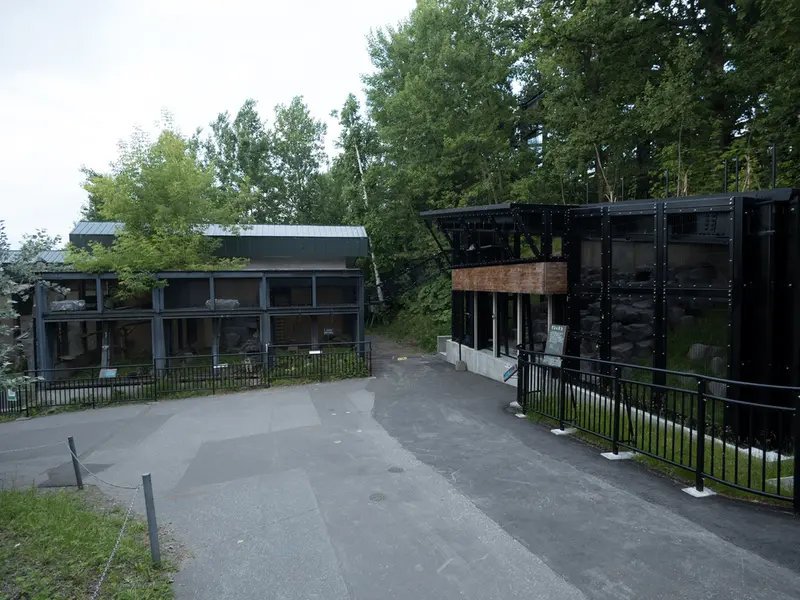 A photograph of Grusha and Hide in Asahiyama Zoo