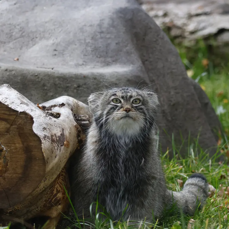 A photograph of Timofey in Moscow zoo