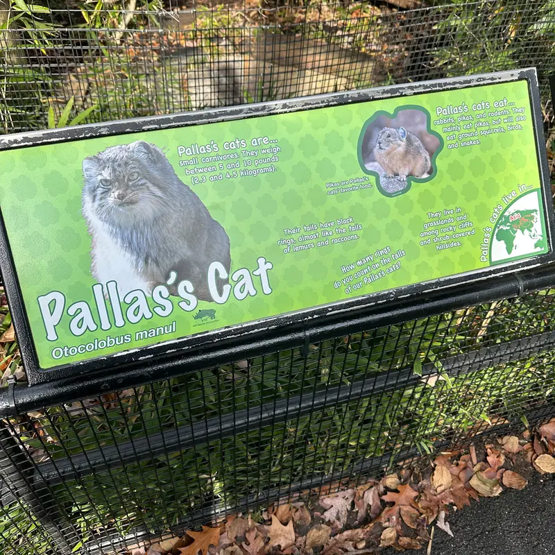 A photograph of Ceba and Akar in Smithsonian's National Zoo
