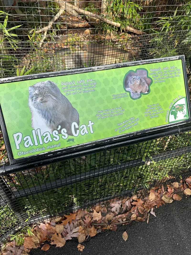 A photograph of Ceba and Akar in Smithsonian's National Zoo