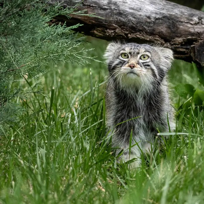 A photograph of Timofey in Moscow zoo