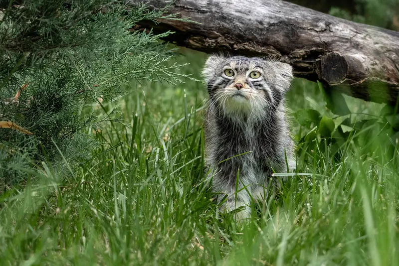 A photograph of Timofey in Moscow zoo