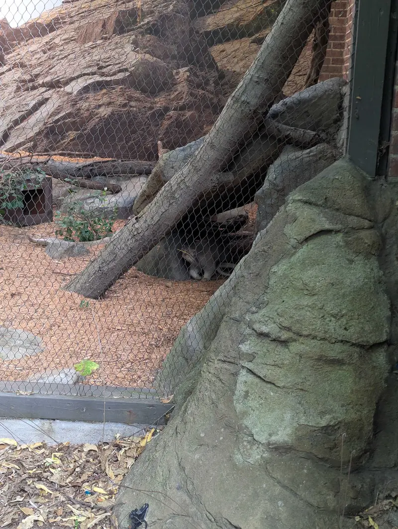 A photograph of Sarnai in Prospect Park Zoo