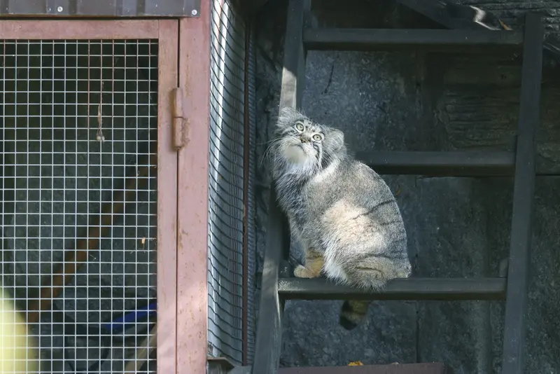 A photograph of Timofey in Moscow zoo