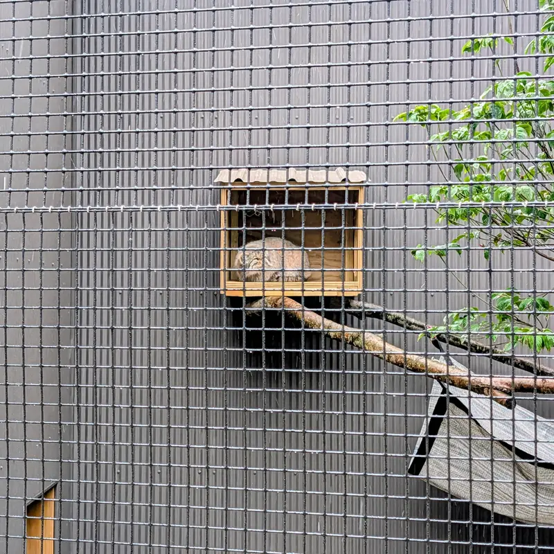A photograph of Reza in Elmwood Park Zoo