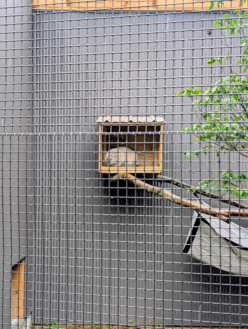 A photograph of Reza in Elmwood Park Zoo