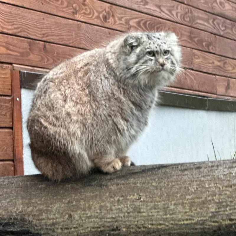 A photograph of Manuel in Gdansk Zoo