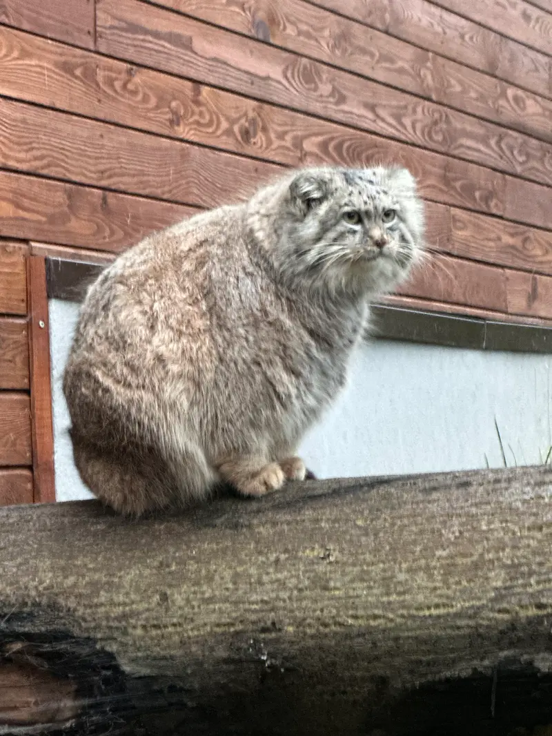 A photograph of Manuel in Gdansk Zoo