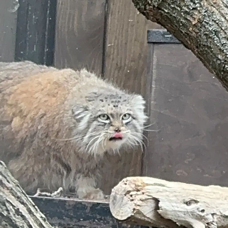A photograph of Jessie in Warsaw Zoo