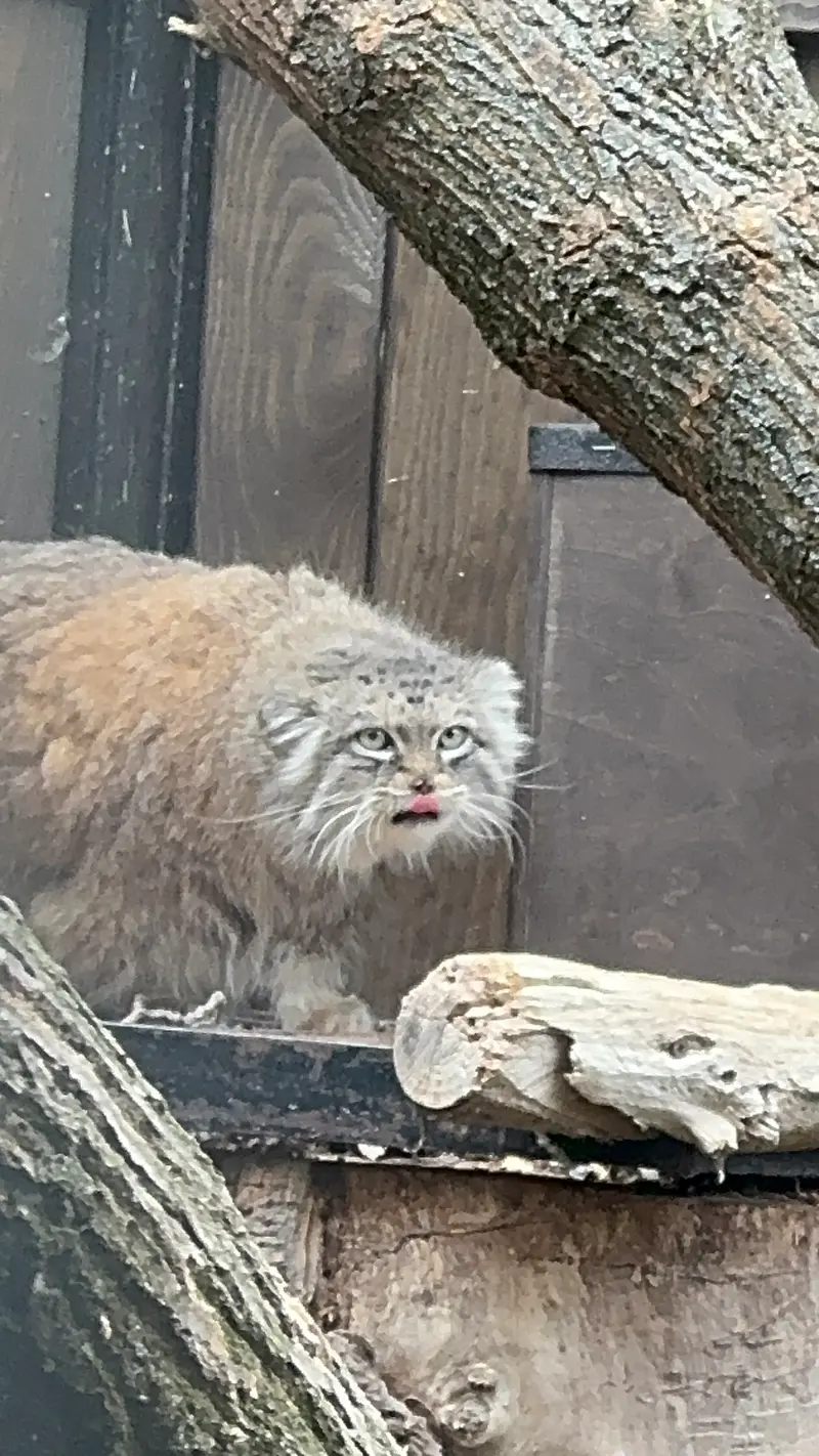 A photograph of Jessie in Warsaw Zoo