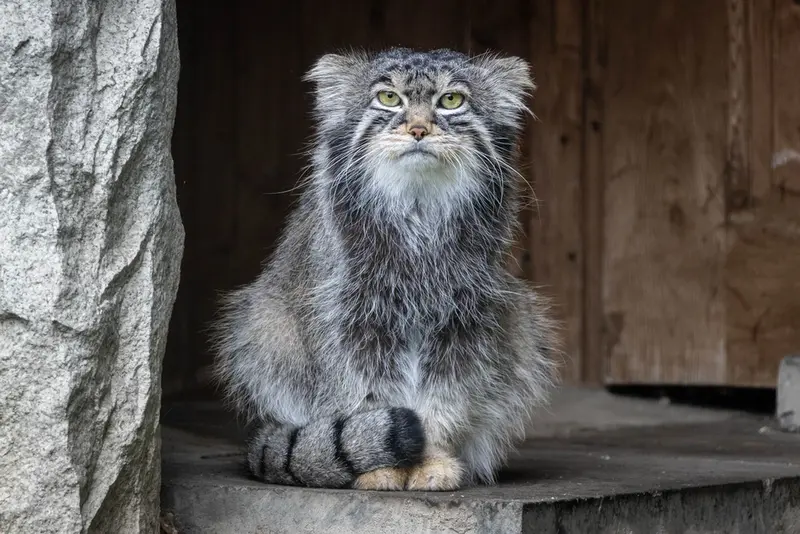 A photograph of Timofey in Moscow zoo