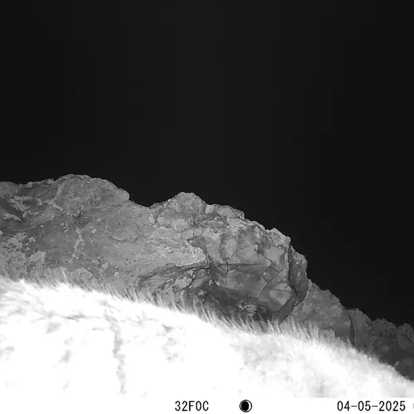 A photograph of Otocolobus manul manul from Besshoky 1 camera trap