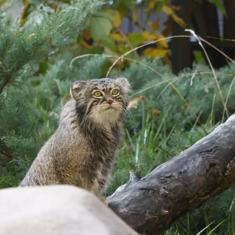 A photograph of Timofey in Moscow zoo