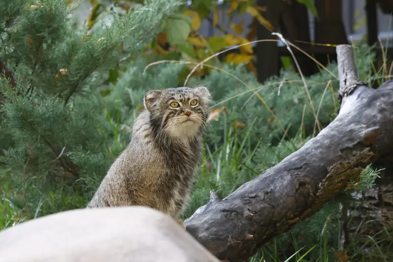 A photograph of Timofey in Moscow zoo