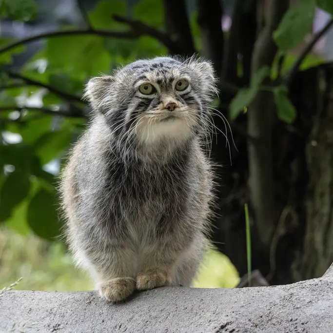 A photograph of Timofey in Moscow zoo