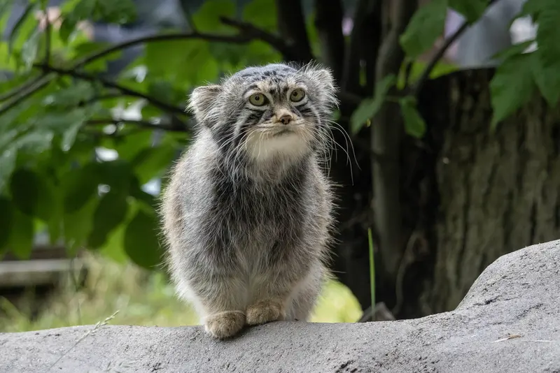 A photograph of Timofey in Moscow zoo