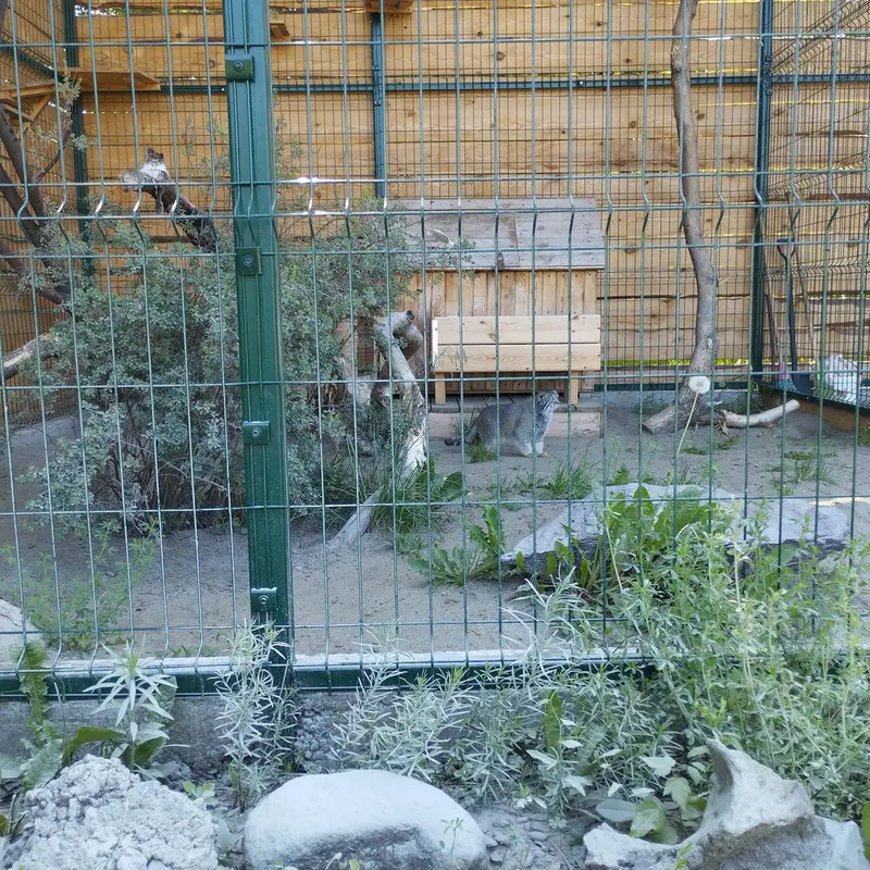 A photograph of Pepe in Barnaul zoo “Lesnaya skazka”