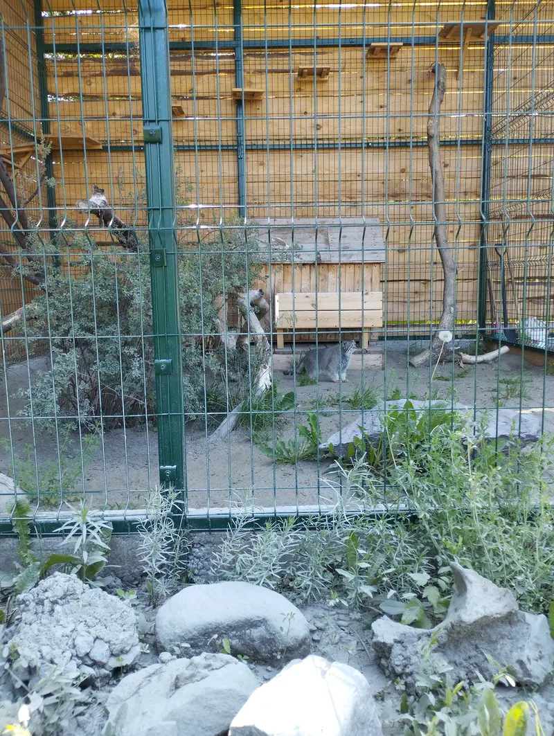 A photograph of Pepe in Barnaul zoo “Lesnaya skazka”