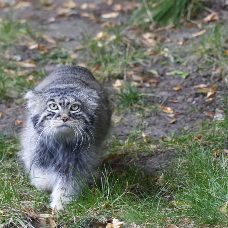 A photograph of Timofey in Moscow zoo
